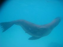 galapagoseilanden3259