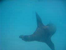 galapagoseilanden3263