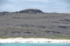 galapagoseilanden3501