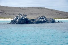 galapagoseilanden3502