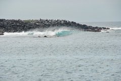 galapagoseilanden3503