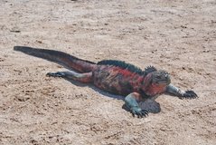 galapagoseilanden3521