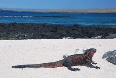 galapagoseilanden3539
