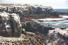 galapagoseilanden3554
