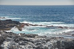 galapagoseilanden3572