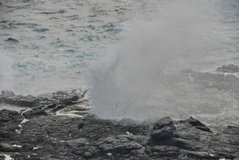 galapagoseilanden3578