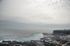 galapagoseilanden3579