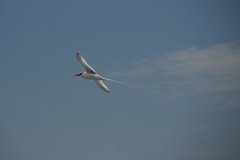 galapagoseilanden3587