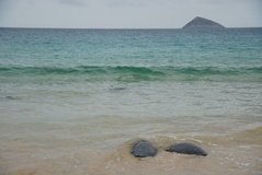 galapagoseilanden4002