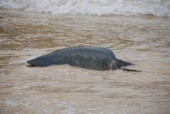 galapagoseilanden4006