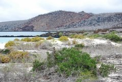galapagoseilanden4023