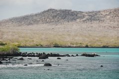 galapagoseilanden4039