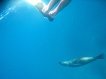 galapagoseilanden4250