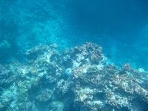 galapagoseilanden4251