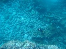 galapagoseilanden4252