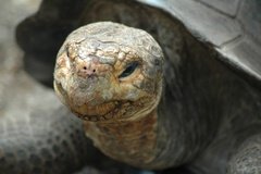 galapagoseilanden5134
