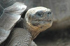 galapagoseilanden5136