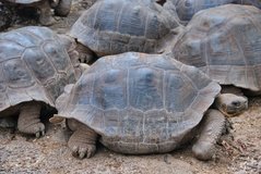 galapagoseilanden5146