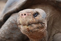 galapagoseilanden5158