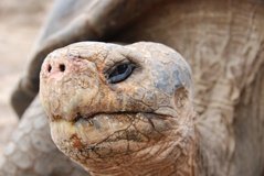 galapagoseilanden5159