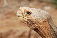 galapagoseilanden5167