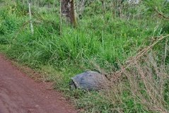 galapagoseilanden5560