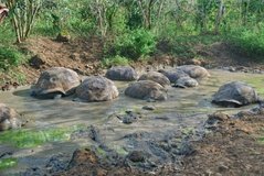 galapagoseilanden5570