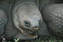 galapagoseilanden5616