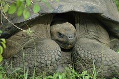 galapagoseilanden5635