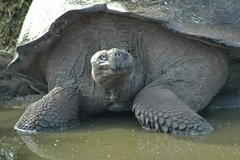 galapagoseilanden5642