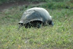 galapagoseilanden5644