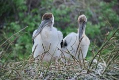 galapagoseilanden6003