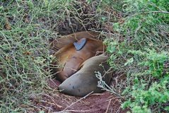 galapagoseilanden6010