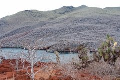 galapagoseilanden6015