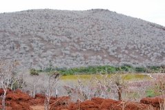 galapagoseilanden6016