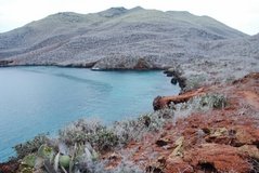 galapagoseilanden6018