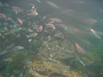 galapagoseilanden6260