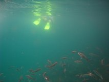 galapagoseilanden6267