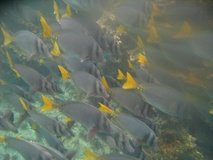 galapagoseilanden6269