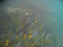 galapagoseilanden6273