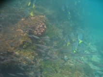 galapagoseilanden6276