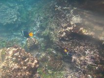 galapagoseilanden6284