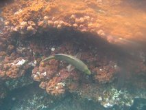 galapagoseilanden6288