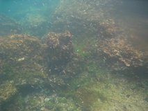galapagoseilanden6295