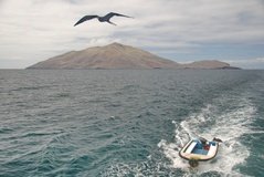 galapagoseilanden6503