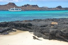 galapagoseilanden6527
