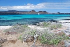 galapagoseilanden6529