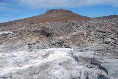 galapagoseilanden6530