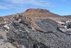 galapagoseilanden6534
