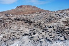 galapagoseilanden6545